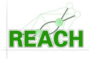 REACH檢測