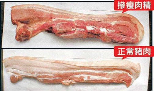 食品安全檢測